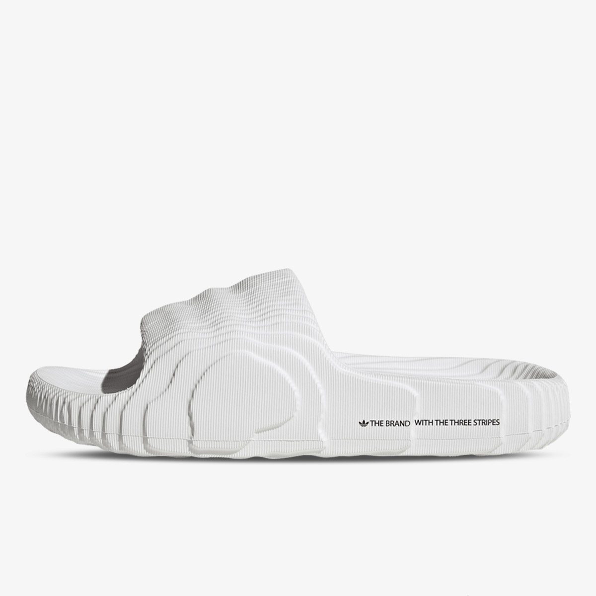 Produkte ADILETTE 22 Buzz Online Shop