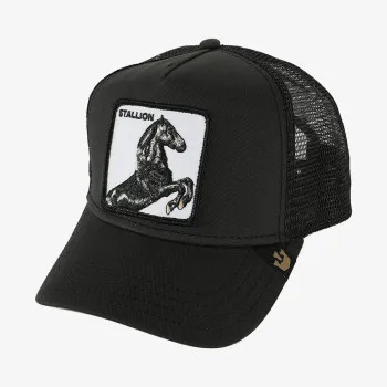 GOORIN BROS Kapele The Stallion 