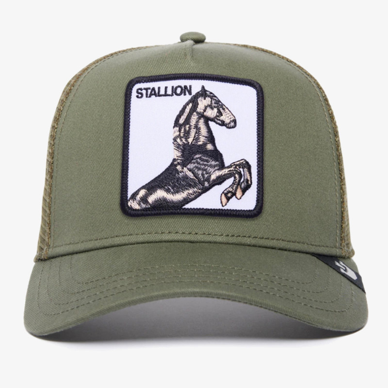 Goorin Bros Kapele The Stallion 