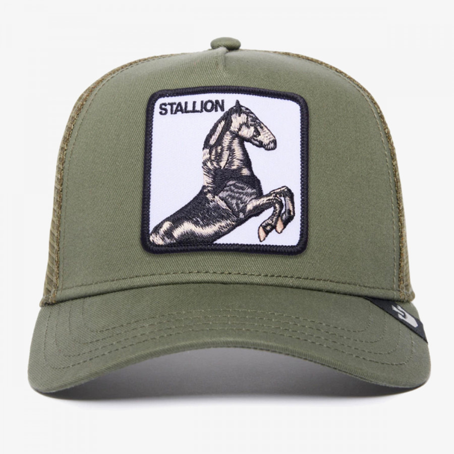 Goorin Bros Kapele The Stallion 