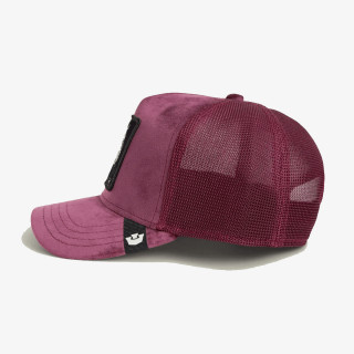 Goorin Bros Kapele VELOUR TIGER 