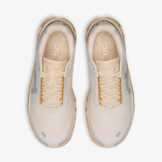 On Atlete Cloudmonster 1 