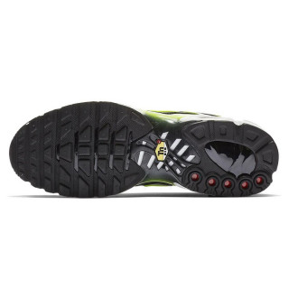 Nike Produkte AIR MAX PLUS 