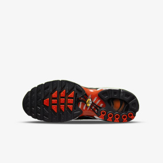 Nike Produkte NIKE AIR MAX PLUS GS FSP2 