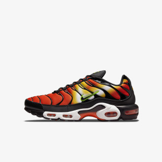 Nike Produkte NIKE AIR MAX PLUS GS FSP2 