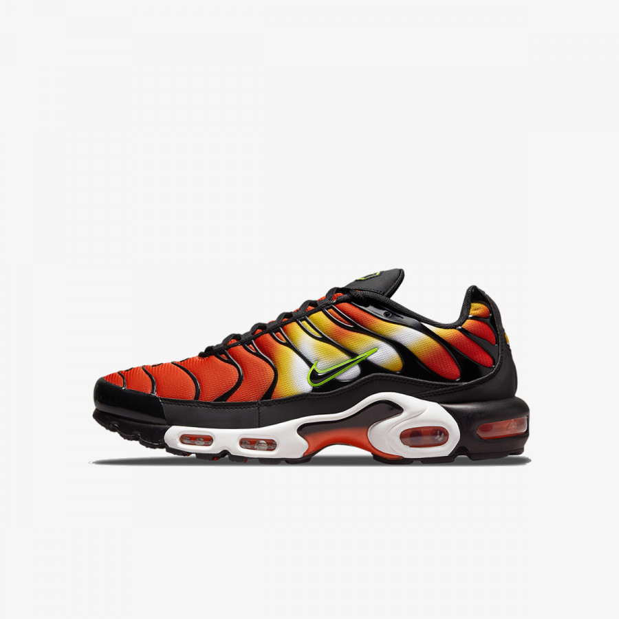 Nike Produkte NIKE AIR MAX PLUS GS FSP2 