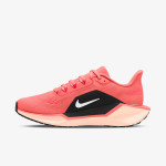 Nike Atlete Pegasus 41 