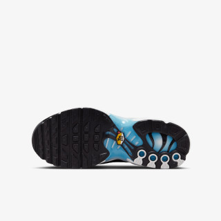 Nike Atlete NIKE AIR MAX PLUS GS SC 