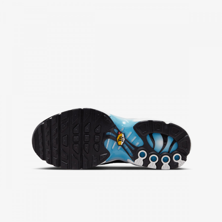 Nike Atlete NIKE AIR MAX PLUS GS SC 
