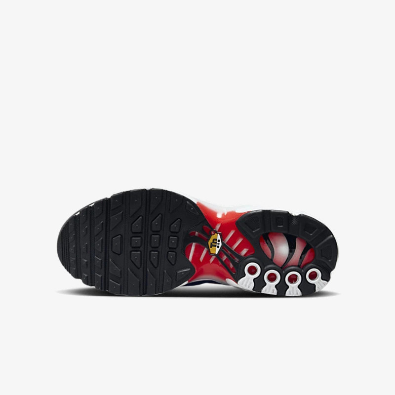 Produkte AIR MAX PLUS 