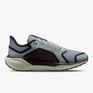 Nike Atlete Air Zoom Pegasus 41 