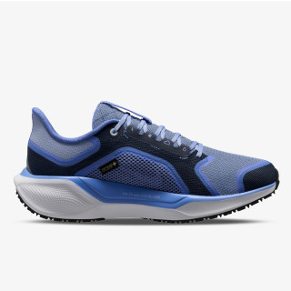 Nike Atlete Air Zoom Pegasus 41 