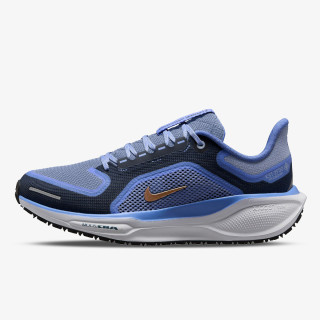 Nike Atlete Air Zoom Pegasus 41 