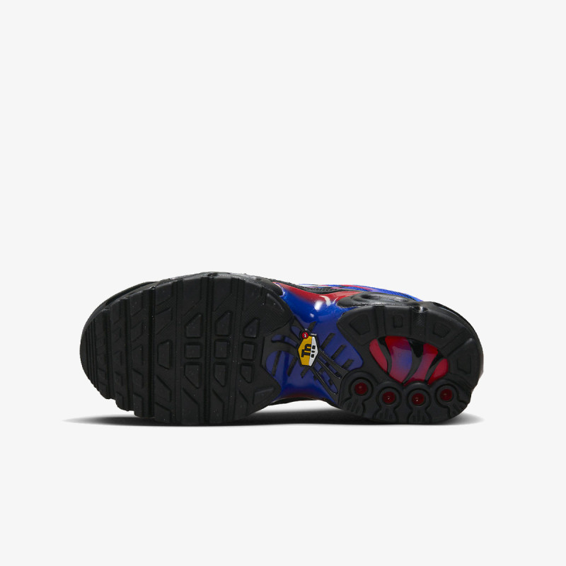 Nike Produkte NIKE AIR MAX PLUS GS PK 