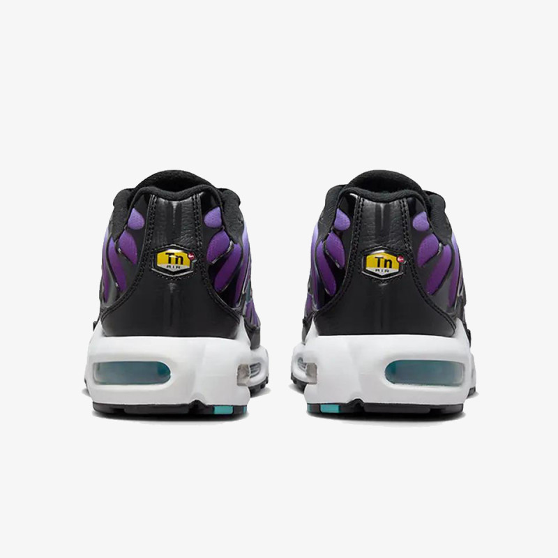 Nike Produkte NIKE AIR MAX PLUS GX 