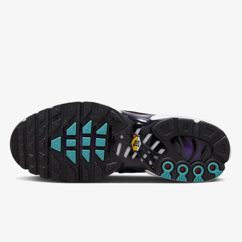 Nike Produkte NIKE AIR MAX PLUS GX 