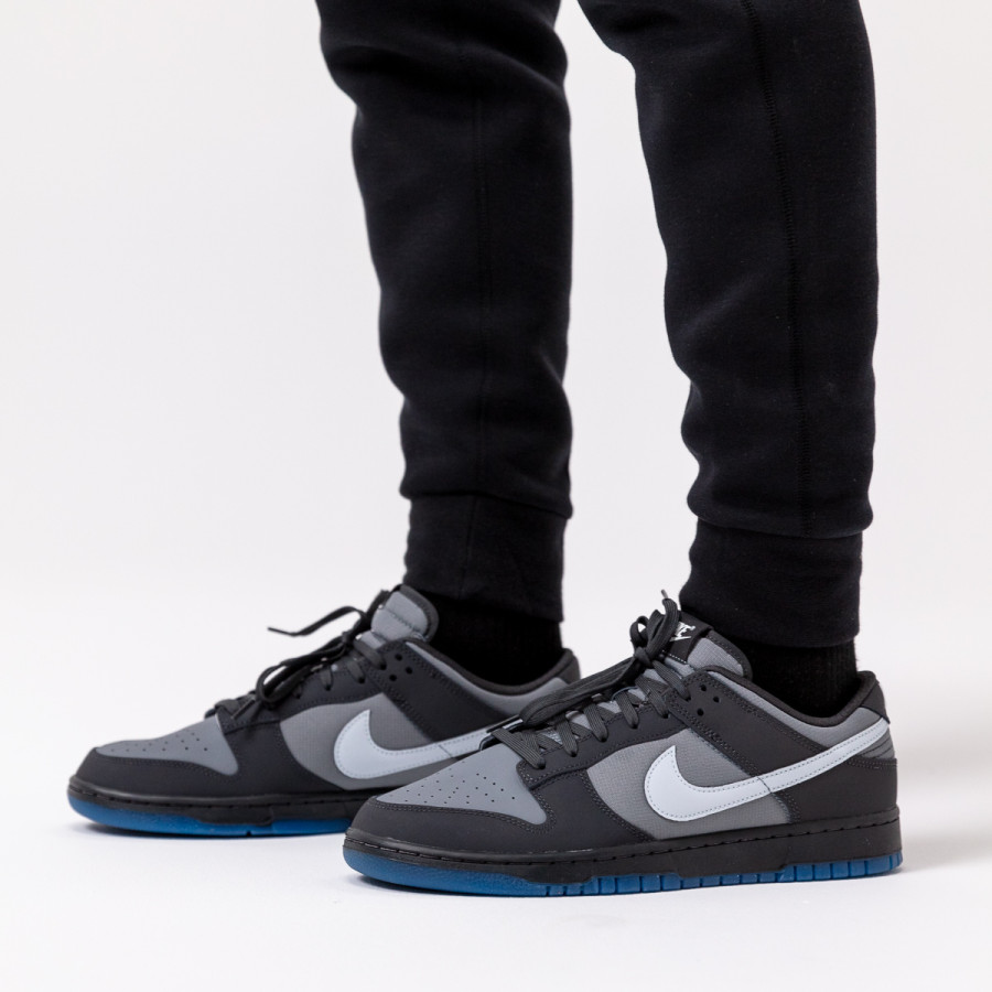 Nike Produkte NIKE DUNK LOW W 