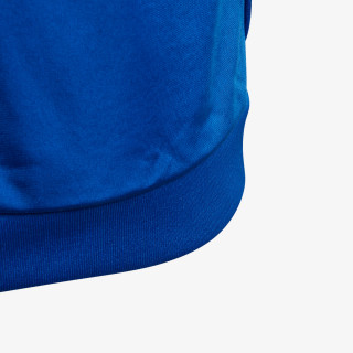 adidas Produkte BIG TREFOIL TT 