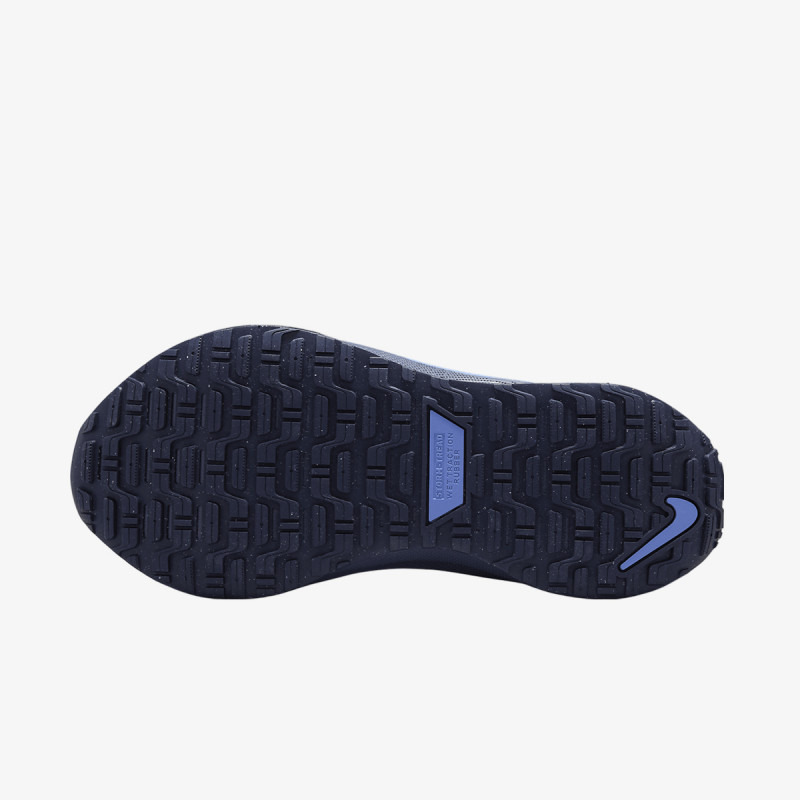 Nike Atlete W REACTX INFINITY RN 4 GTX V2 