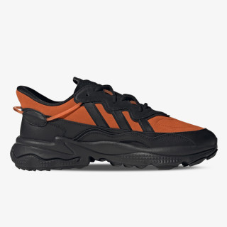 Produkte OZWEEGO TR 