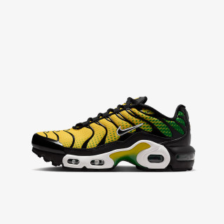 Nike Atlete NIKE AIR MAX PLUS GS BTD 