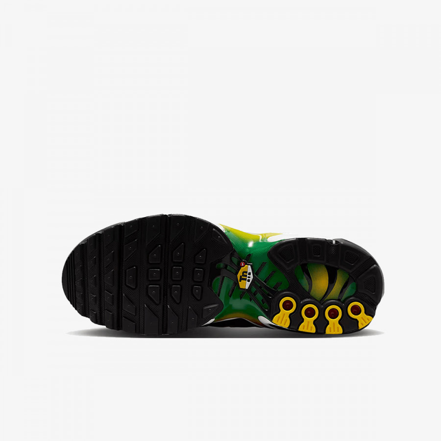 Nike Atlete NIKE AIR MAX PLUS GS BTD 