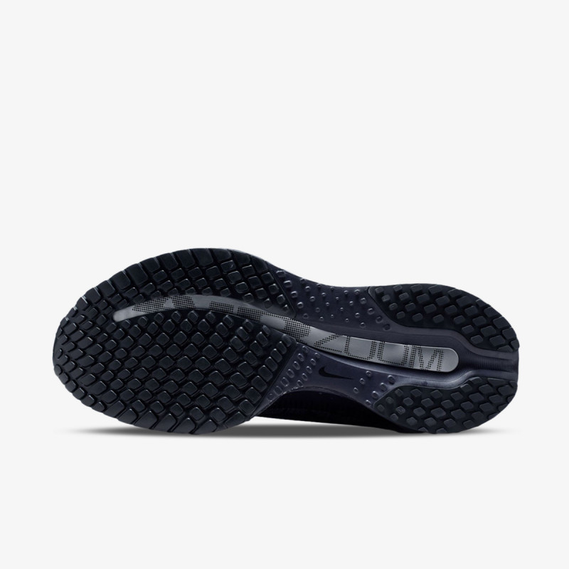 Nike Atlete Pegasus Premium 