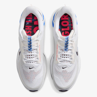 Nike Atlete NIKE PEGASUS PREMIUM CM 
