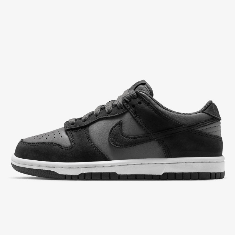 Nike Atlete NIKE DUNK LOW SE (GS) 