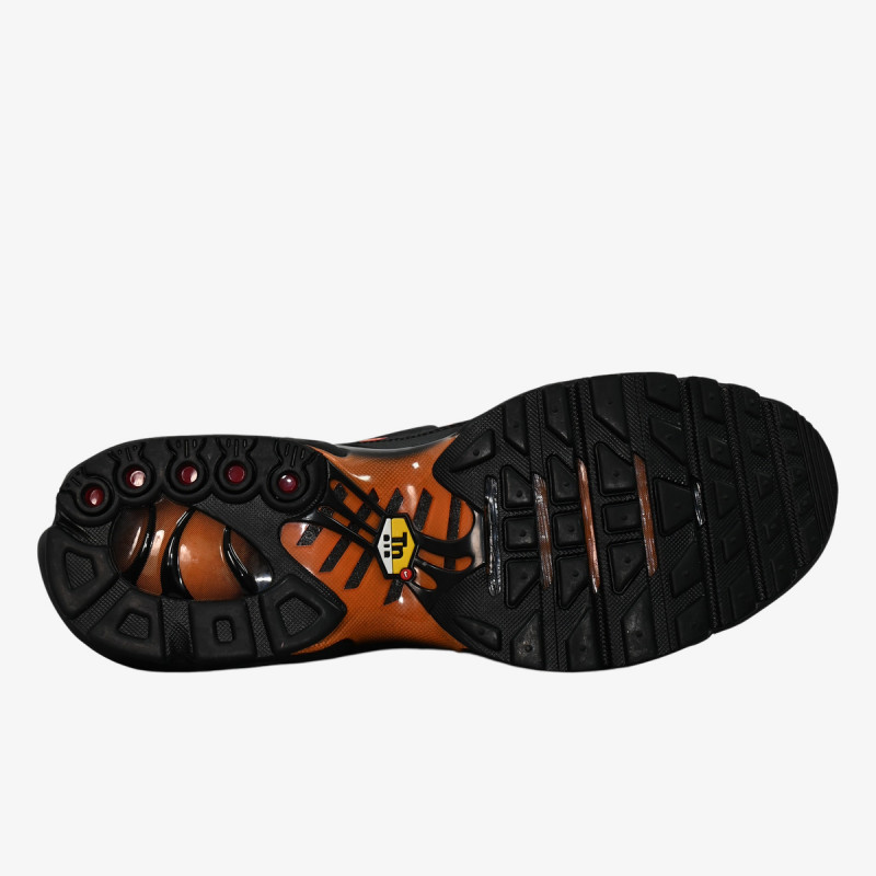 Nike Atlete NIKE AIR MAX PLUS FL 2 