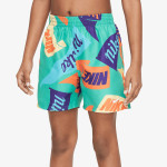 Nike Pantallona të shkurtra 4