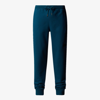 The North Face Produkte M NSE PANT 