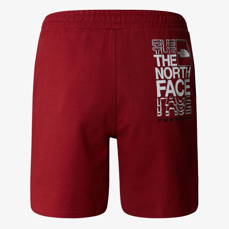 The North Face Produkte M SS24 COORDINATES SHORT 